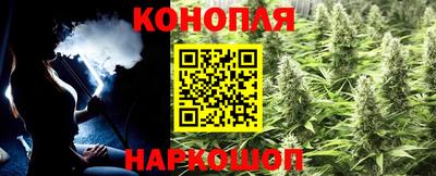 сатива Владивосток