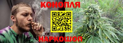 сатива Владивосток