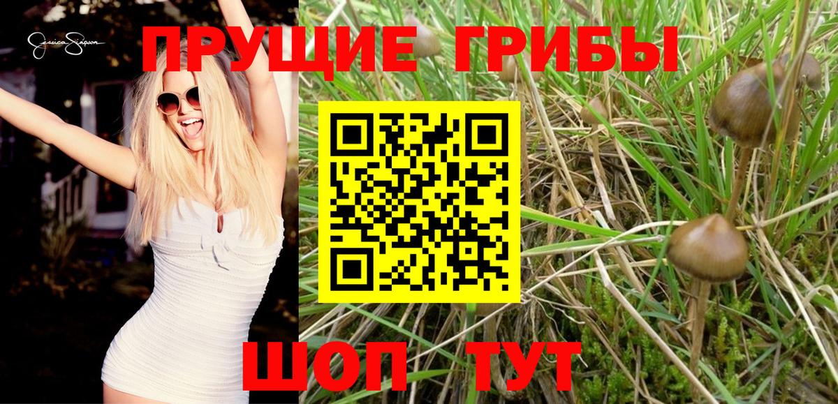Галлюциногенные грибы MAGIC MUSHROOMS Еманжелинск